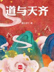 道与天齐无防盗