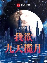 我欲九天揽月境界设定
