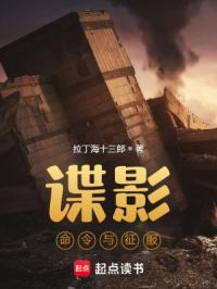 谍影命令与征服 笔趣阁