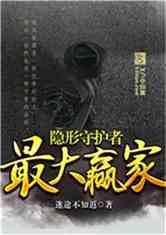 隐形守护者手游