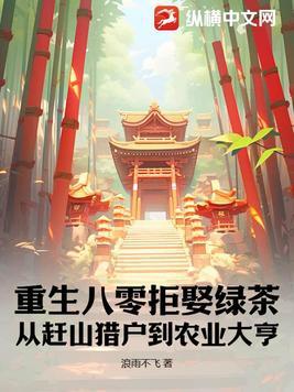 重生八零农村媳