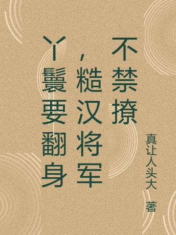 丫鬟文推荐
