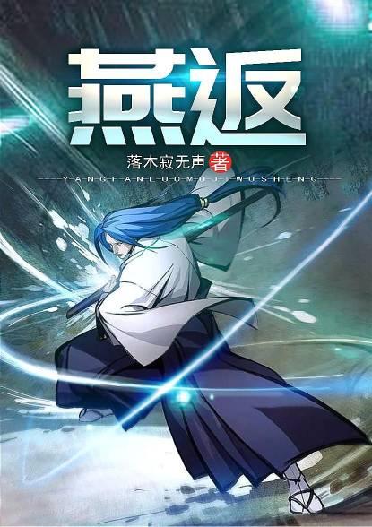 燕返函数