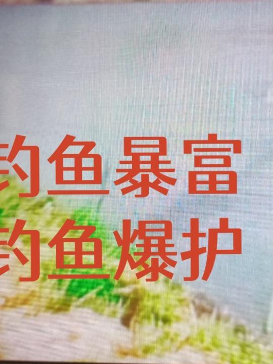钓鱼爆护的表情