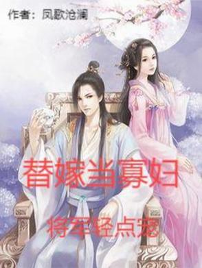 替嫁将军讲的什么