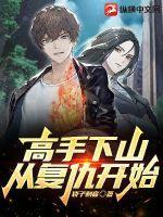 下山的高手