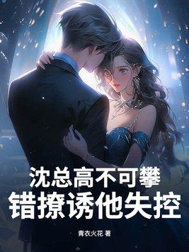 沈总的娇妻她太撩人了