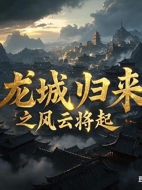 龙城风云电影简介