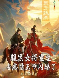 腹黑王爷倾城女将军