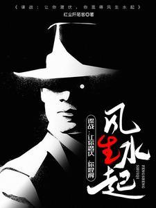 谍战上海滩原著阅读
