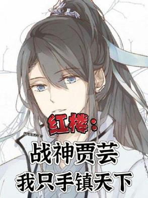 红楼之贾家长子