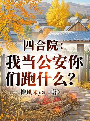 四合院警神